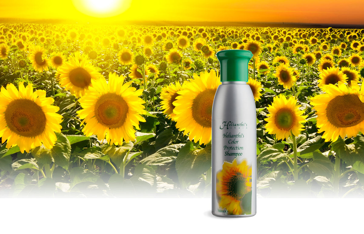 Helianthi's Color Protection Shampoo, 150 ml